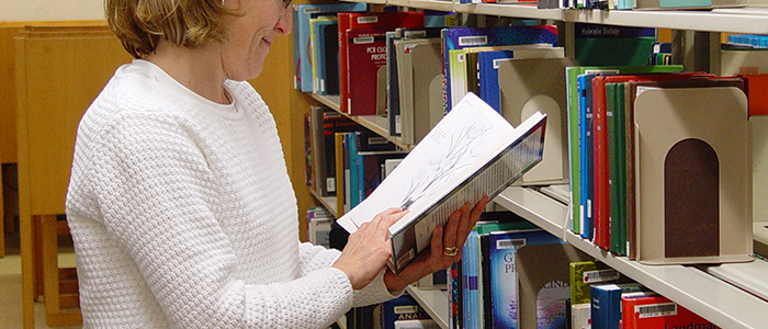 A woman looking through a book selected from a library shelf.