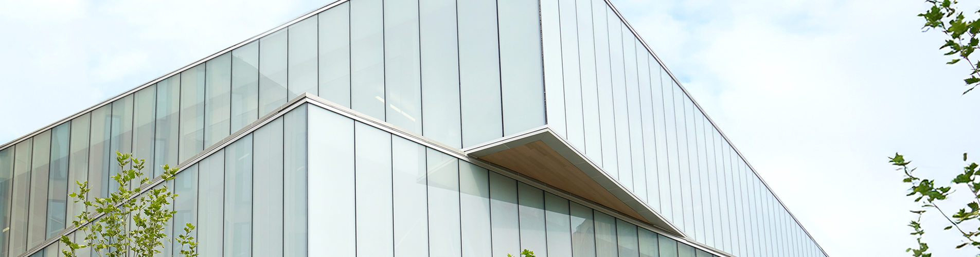 Hillman Library