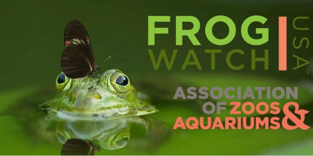 Citizen Science project FrogWatch USA