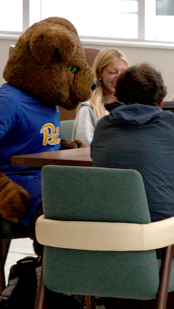 Roc at Hillman Library studying with students