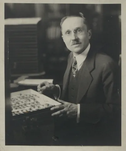 Avinoff Avinoff