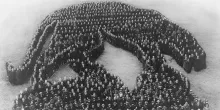 Nearly 5,000 students assembled to form the Living Panther to show Pitt Spirit. April 1920